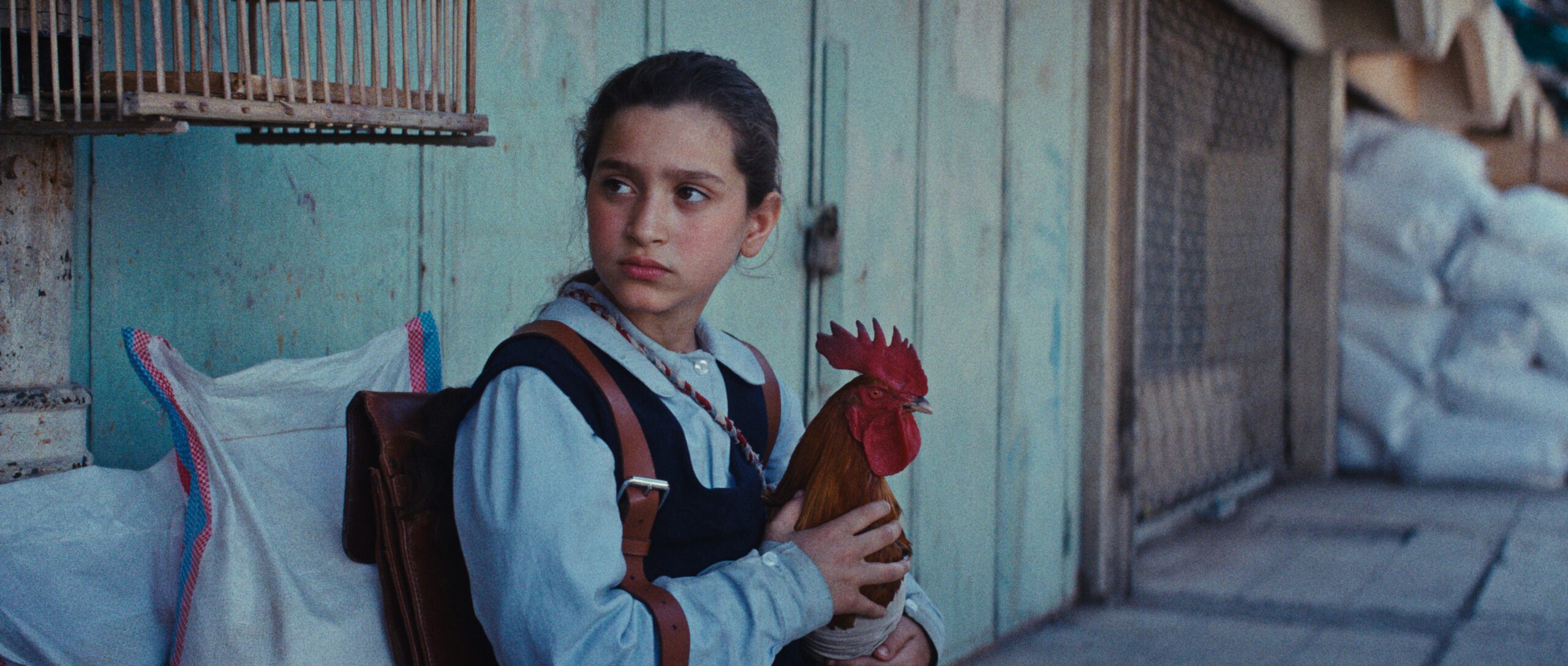 Arab Film Festival
