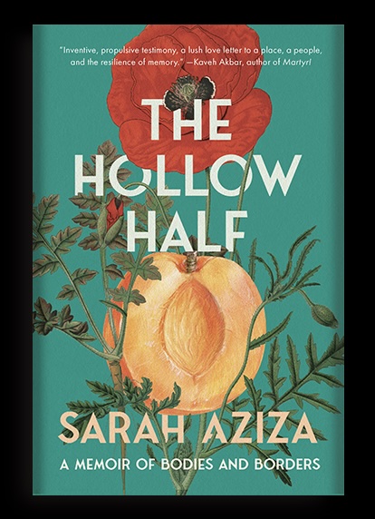 The Hollow Half_3Dcvr
